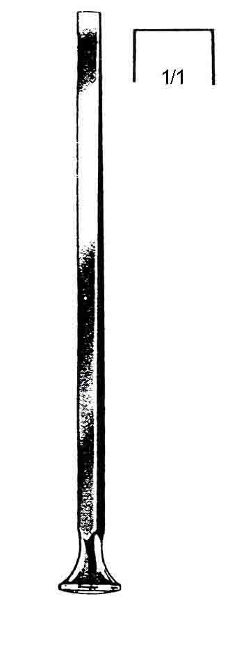 CARROLL ÇİZIL DÜZ 10MM 14CM